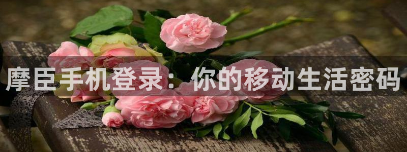 开丰娱乐怎么下载