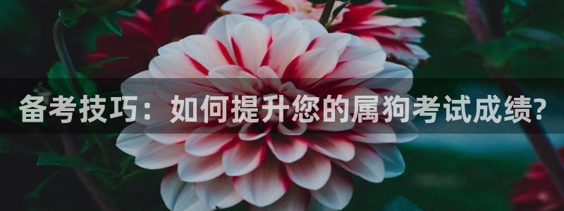 开丰娱乐官网下载