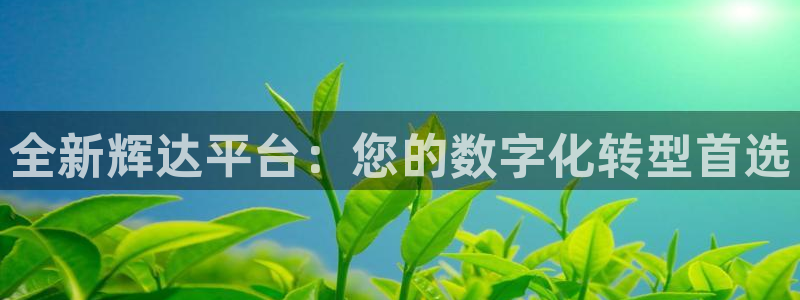 壹号下载官网入口