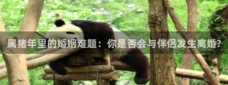 开丰娱乐官网平台