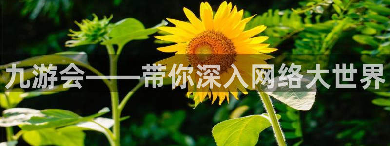 开丰娱乐强制退款流程详解