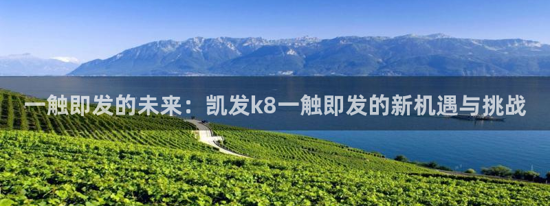 开丰娱乐注册平台
