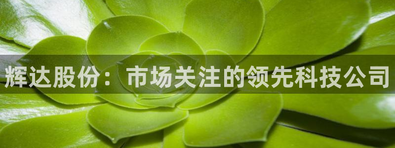 开丰娱乐下载入口