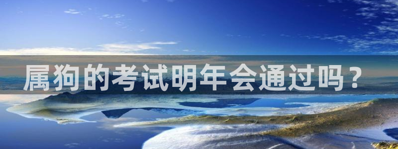 壹号国际app免费下载安装
