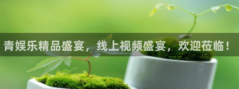开丰娱乐游app