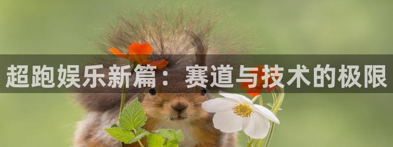 开丰娱乐.ccmpc正版