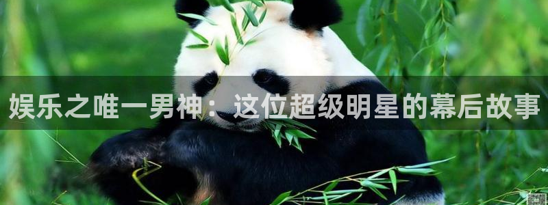 开丰娱乐是大平台吗