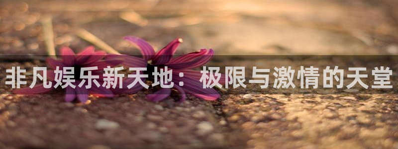 开丰娱乐.ccm