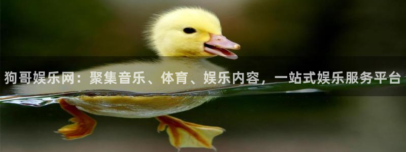 开丰娱乐-ng大舞台,有梦你就来：狗哥娱乐网：聚集音乐、体育、娱乐内容，一站式娱乐服务平台