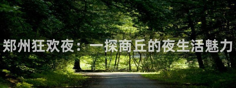 开丰娱乐式.进入官网移动版.org：郑州狂欢夜：一探商丘的夜生活魅力