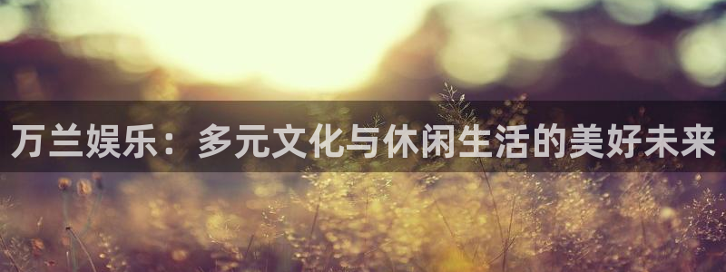 开丰娱乐平台：万兰娱乐：多元文化与休闲生活的美好未来