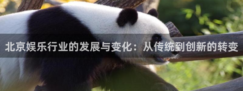 壹号电子娱乐app下载最新版本：北京娱乐行业的发展与变化：从传统到创新的转变