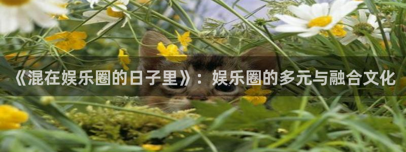 开丰娱乐网址：《混在娱乐圈的日子里》：娱乐圈的多元与融合文化