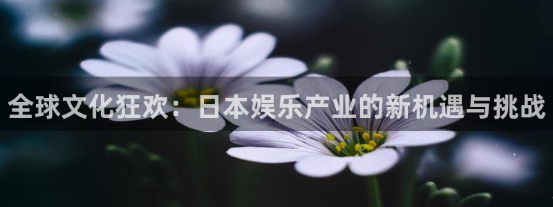 开丰娱乐软件：全球文化狂欢：日本娱乐产业的新机遇与挑战