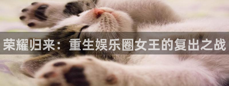 开丰娱乐游戏官网平台入口
