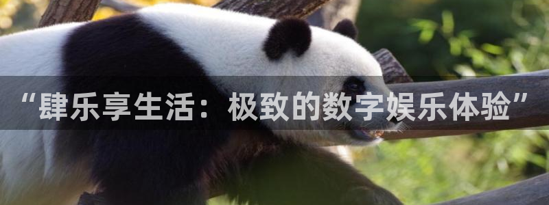 开丰娱乐注册链接