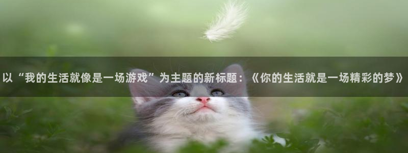 壹号官方app下载安装