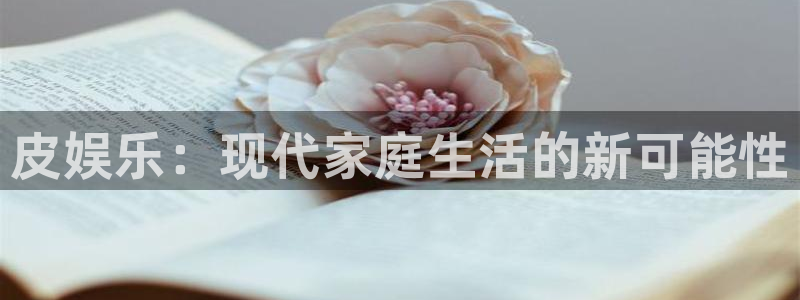 开丰娱乐网站