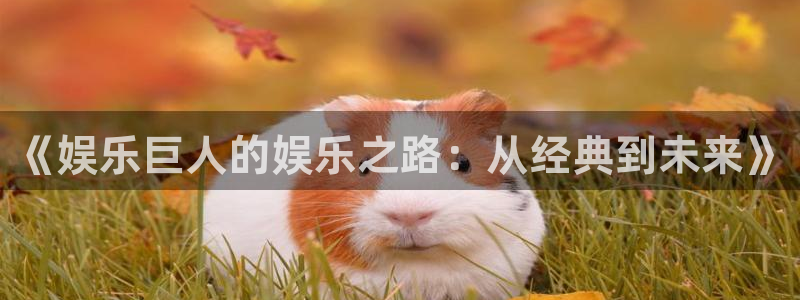 开丰娱乐平台官网入口下载