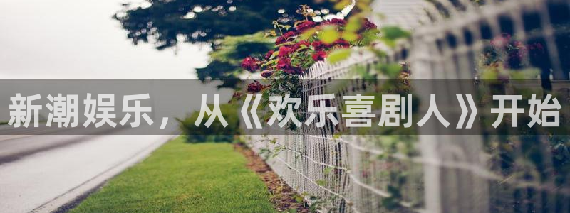 开丰娱乐app新版上线体验.游戏更新入口.中国