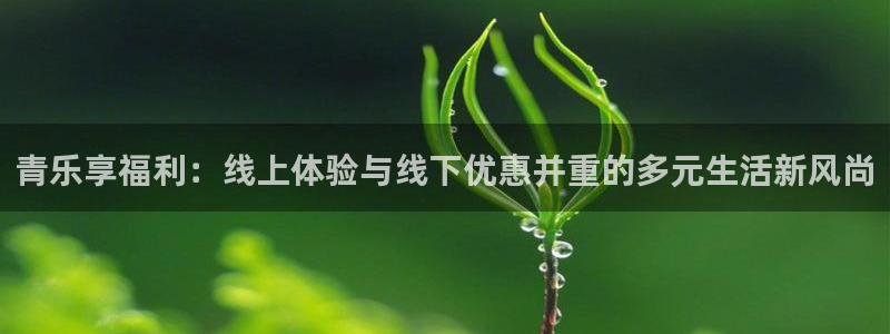 开丰娱乐平台官网入口