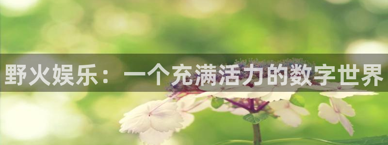 壹号下载官网入口