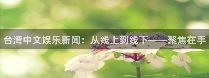 壹号电子娱乐app下载安装：台湾中文娱乐新闻：从线上到线下——聚焦在手